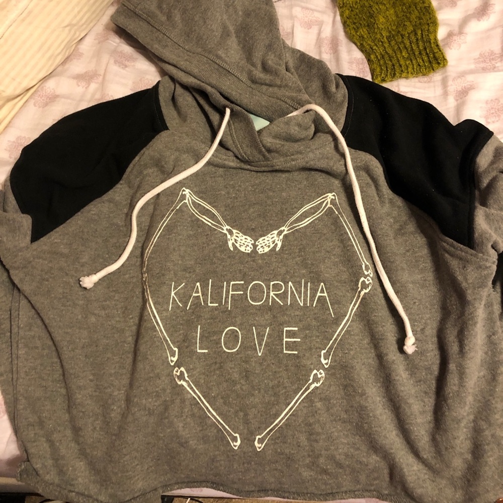 sweatshirt from pacsun
